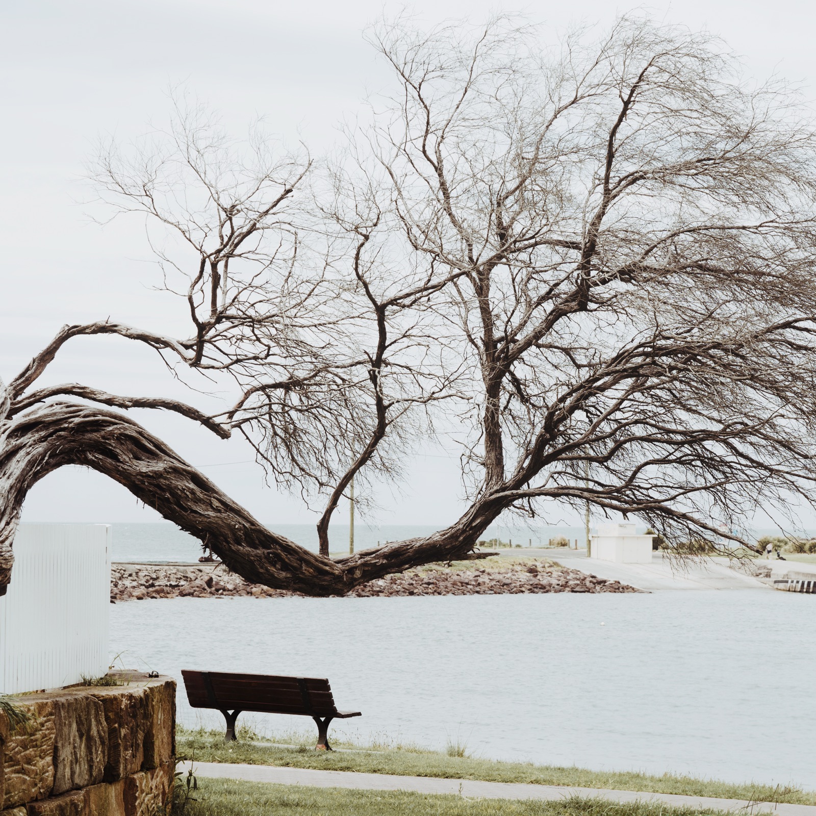 Landscape photograph by Asfanur Arafin